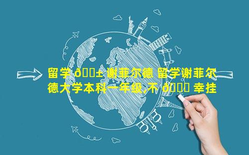 留学 🐱 谢菲尔德 留学谢菲尔德大学本科一年级,不 🐅 幸挂科怎么办